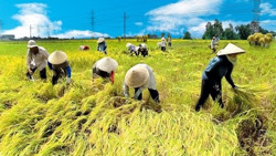 Bảo hiểm chỉ số thời tiết cho nông nghiệp