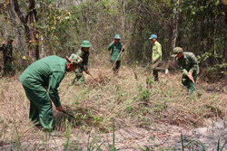 Chủ động phòng, chống cháy rừng trong mùa khô