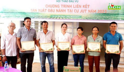 Nhiều nông dân huyện Cư Jut được trao chứng nhận thành viên Câu lạc bộ 3 tấn/ha