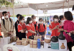 Tạo cơ hội phát triển từ các kênh thương mại điện tử