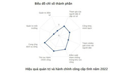 Đắk Lắk dẫn đầu các tỉnh Tây Nguyên về Chỉ số PAPI năm 2022