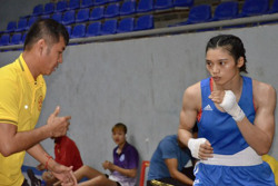 Giải vô địch boxing các đội mạnh toàn quốc năm 2023: Vắng mặt các tuyển thủ Việt Nam