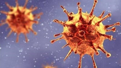 TP HCM: Xuất hiện biến thể phụ XBB.1.5 của virus Omicron