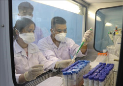 Biến thể phụ Omicron phổ biến trên thế giới đều đã xâm nhập Việt Nam