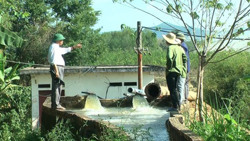Chặn dòng Hồ chứa nước Krông Pách thượng: Ea Kar sẵn sàng các phương án chủ động điều tiết nước