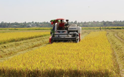 Hướng tới "giấc mơ" nông nghiệp đại điền