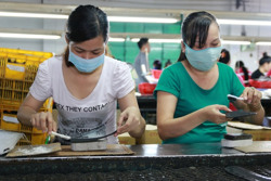 Có nên khống chế tuổi nghỉ hưu?