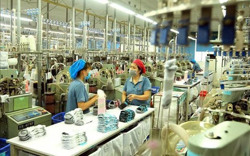 Thị trường lao động việc làm phục hồi chậm