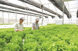 Nâng chất nguồn nhân lực nông nghiệp