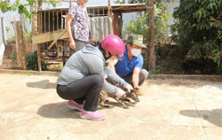 Bệnh nhân 78 tuổi tử vong nghi do mắc bệnh dại