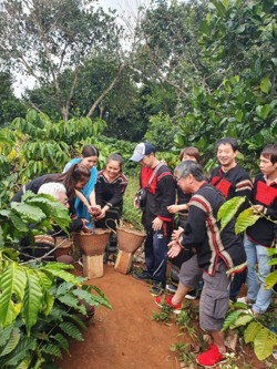 Vì một thương hiệu Cà phê Buôn Ma Thuột