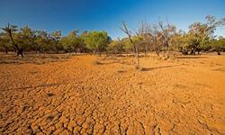 Cảnh báo El Nino gây nắng nóng kỷ lục trong thời gian tới