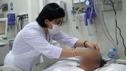 Mất mạng vì nấm độc trên xác ve sầu