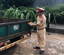 Thị xã Buôn Hồ: Hơn 7.000 xe công nông được dán decal phản quang