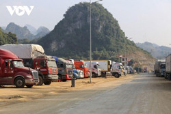 Không để nông sản ùn ứ tại cửa khẩu