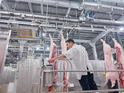 Đề nghị khẩn trương thành lập lại trạm thú y cấp huyện