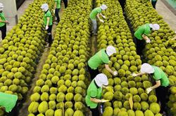 7 nhóm sản phẩm xuất khẩu hơn 1 tỉ USD trong 6 tháng