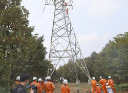 Nỗ lực đảm bảo an toàn lưới điện