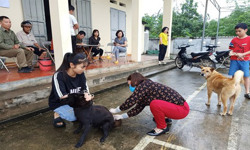 Cảnh giác với bệnh dại