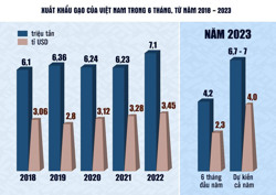 Cân đối xuất khẩu và tiêu dùng nội địa