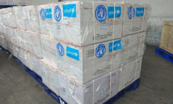 Việt Nam nhận 258.000 liều vắc-xin "5 trong 1": Ai được ưu tiên tiêm trước?