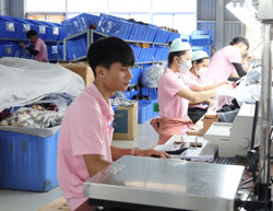 Gia tăng số lượng doanh nghiệp giải thể, ngừng hoạt động