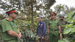 Tăng cường công tác an ninh cho vụ sầu riêng 2023