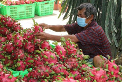 Liên kết để tiêu thụ hàng hóa