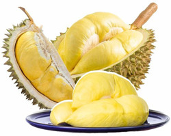 Ai không nên ăn sầu riêng
