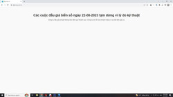 Tạm dừng phiên đấu giá biển số ô tô đẹp vì lỗi kỹ thuật