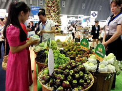 Đưa nông sản lên sàn thương mại điện tử