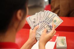 Giá USD hạ nhiệt sau động thái hút tiền liên tục của Ngân hàng Nhà nước