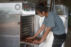 Mắc ca Đắk Nông "sốt" trước tết