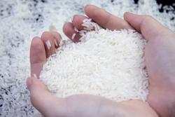 Xuất khẩu hơn 8,1 triệu tấn gạo năm 2023