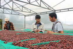 Nông trại của chàng trai 9x