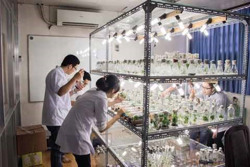 Bất ngờ xếp hạng đại học năm 2024