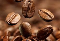 Giá cà phê vượt mốc 74.000 đồng/kg