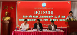 Quy mô, số lượng hợp tác xã ở Đắk Lắk đứng đầu Tây Nguyên