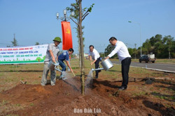 TP. Buôn Ma Thuột trồng 5.000 cây xanh chào mừng 120 năm Ngày thành lập tỉnh