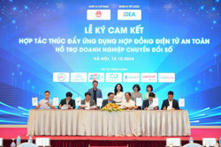 Doanh nghiệp Việt trong cuộc đua chuyển đổi số