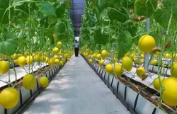 Dồn sức thực hiện mục tiêu nông thôn mới