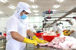 Điều kiện để người rút BHXH một lần vẫn có thể nhận lương hưu