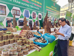 Giới thiệu, quảng bá trên 200 mặt hàng nông sản tiêu biểu