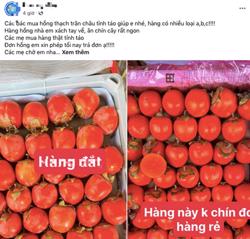 Trái hồng đỏ "rực lửa", quảng cáo xách tay từ Trung Quốc về bán tràn lan chợ online