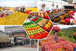 Nâng giá trị nông sản bằng chế biến sâu