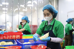 Xuất khẩu nông sản ở mức cao kỷ lục