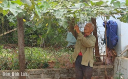 Xin được... thoát nghèo