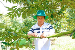 Tín hiệu vui cho sầu riêng Krông Năng