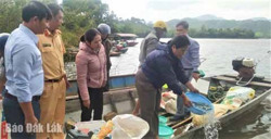 Thả hơn 25.000 cá giống bổ sung, tái tạo nguồn lợi thủy sản tại huyện Lắk