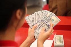 Bầu cử Tổng thống Mỹ, giá USD ngân hàng bật tăng theo Dollar Index